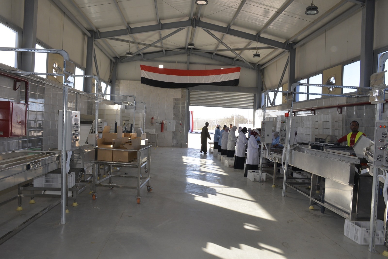 العمال بمجمع الصناعات الغذائية والتعبئة لتجفيف الطماطم بقرية الكيمان العمال بمجمع الصناعات الغذائية والتعبئة لتجفيف الطماطم بقرية الكيمان