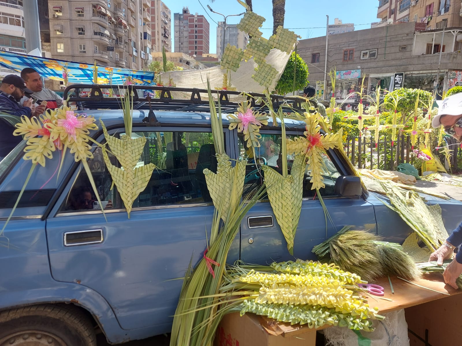 انتشار بائعى الزعف انتشار بائعى الزعف