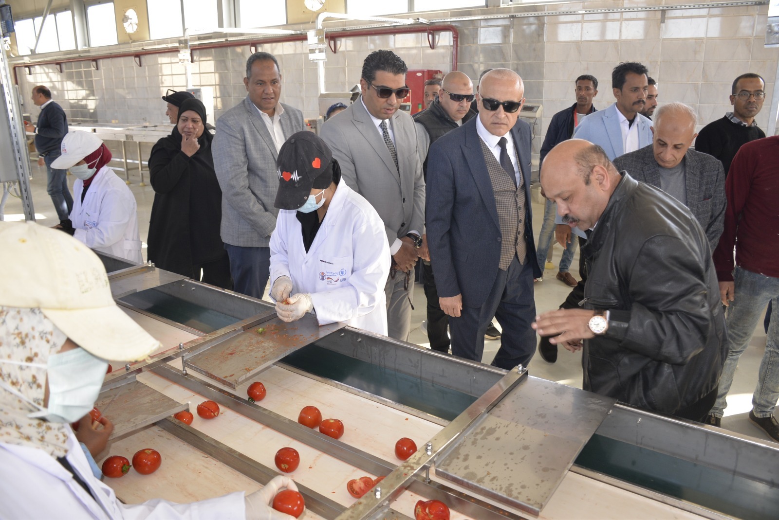 جولة المحافظ بمجمع الصناعات الغذائية والتعبئة لتجفيف الطماطم بقرية الكيمان جولة المحافظ بمجمع الصناعات الغذائية والتعبئة لتجفيف الطماطم بقرية الكيمان