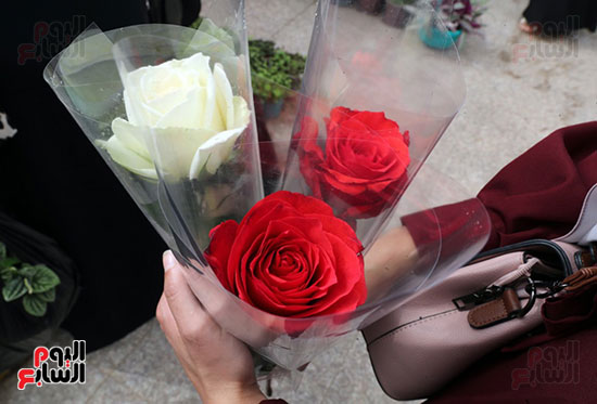 ورود متنوعة ورود متنوعة