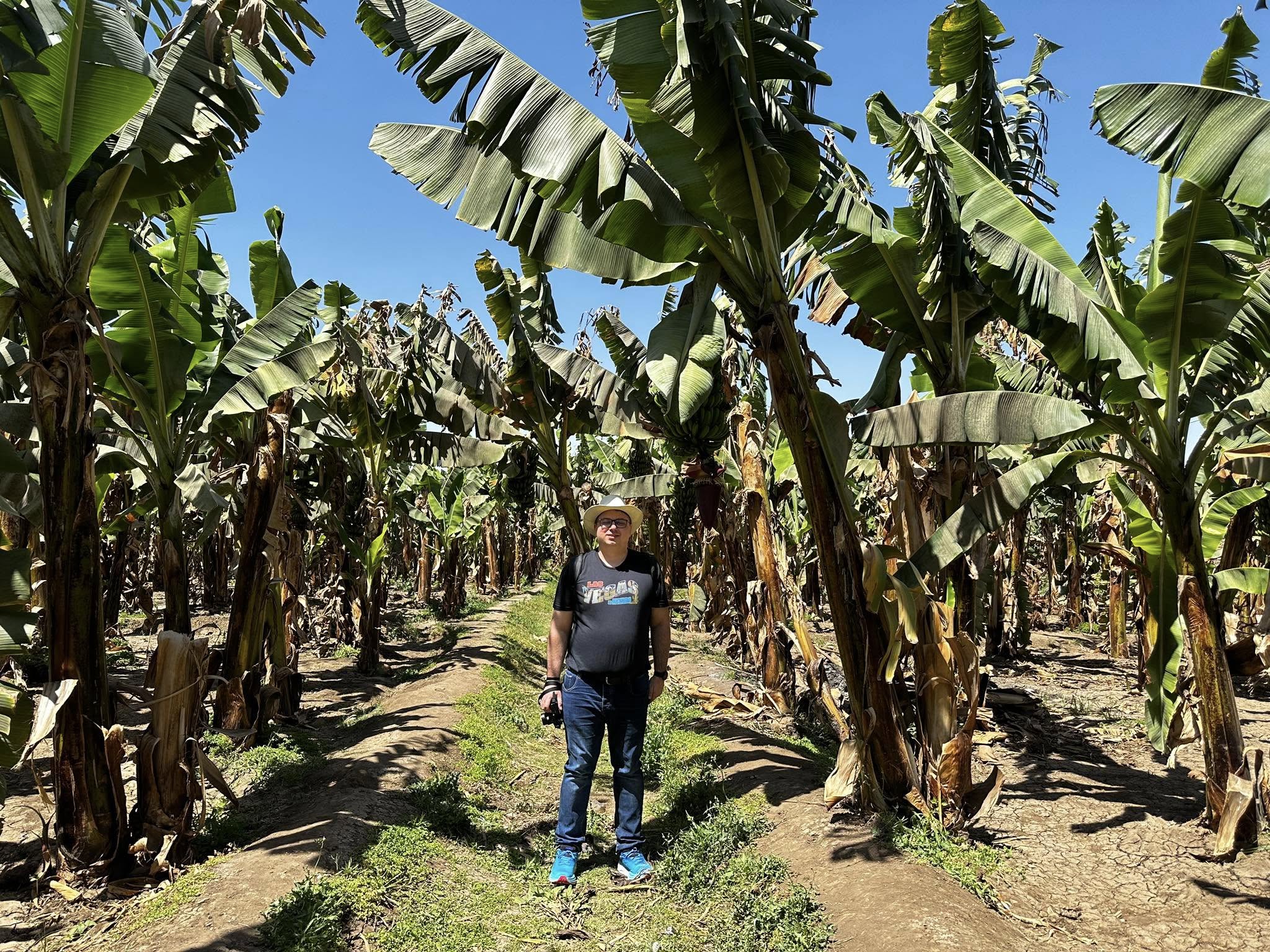 أجنبي وسط زراعات الموز فى البر الغربى بالأقصر