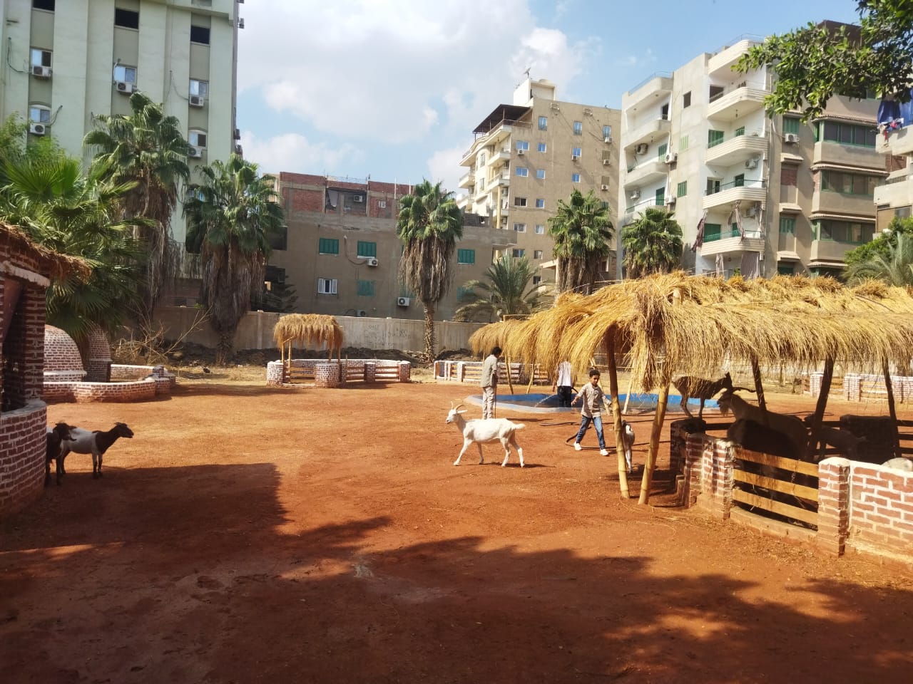 جانب من الحديقة جانب من الحديقة