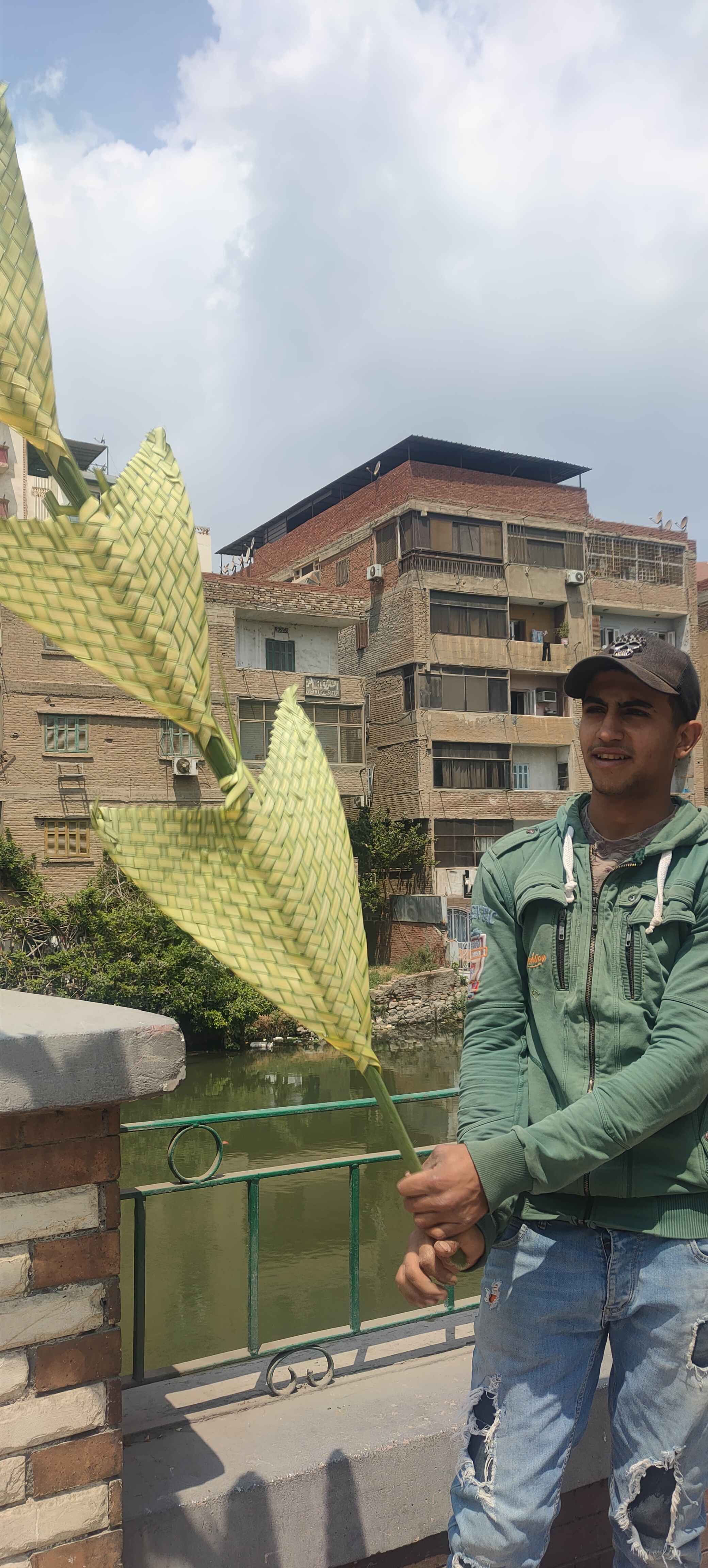الزعف المجدول الزعف المجدول