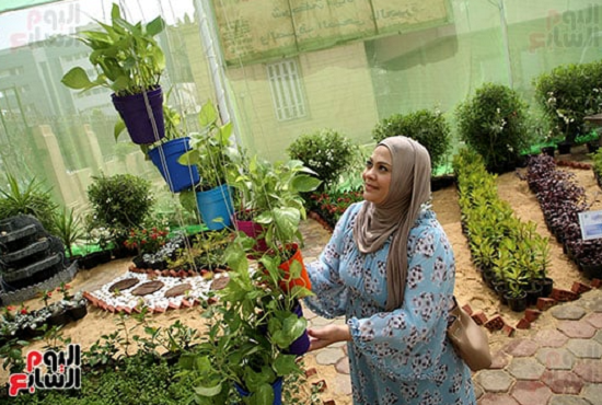 معرض الزهور 2024