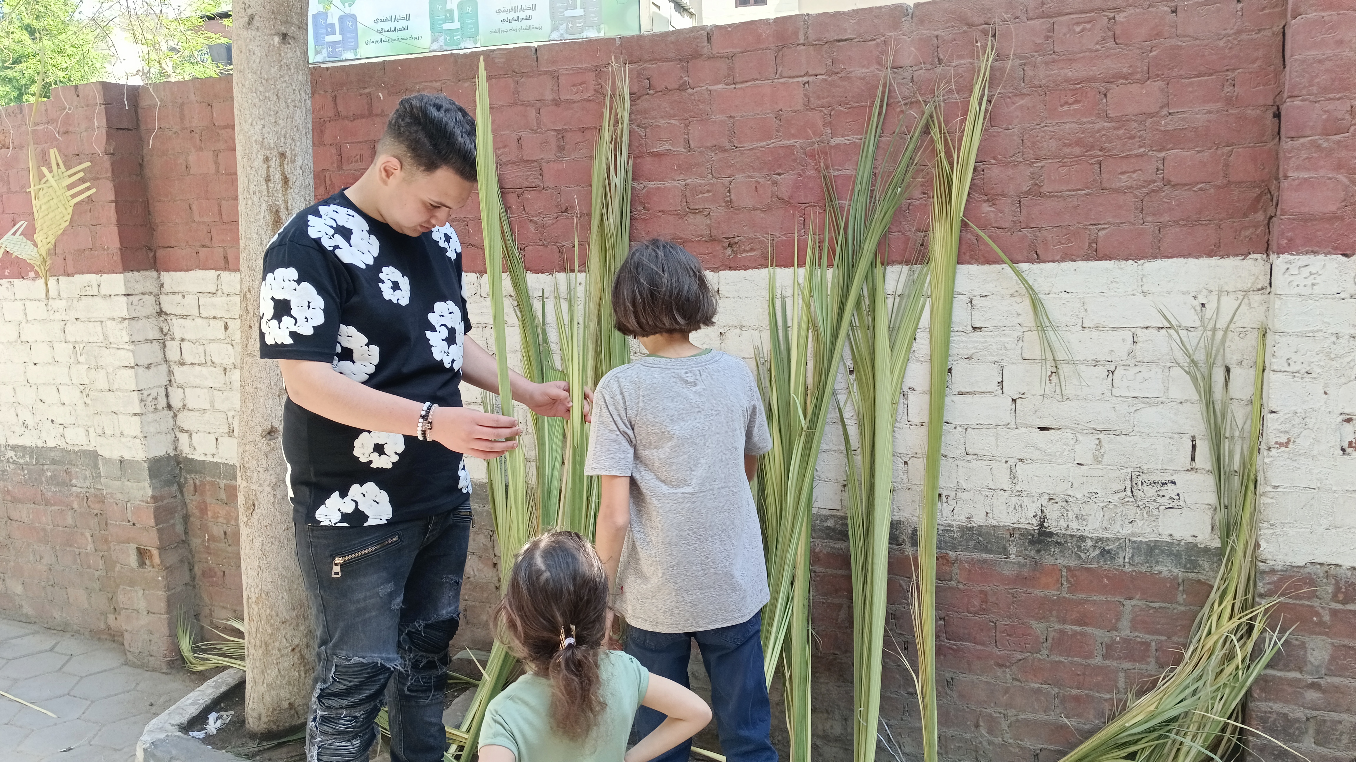 أحد السعف أحد السعف