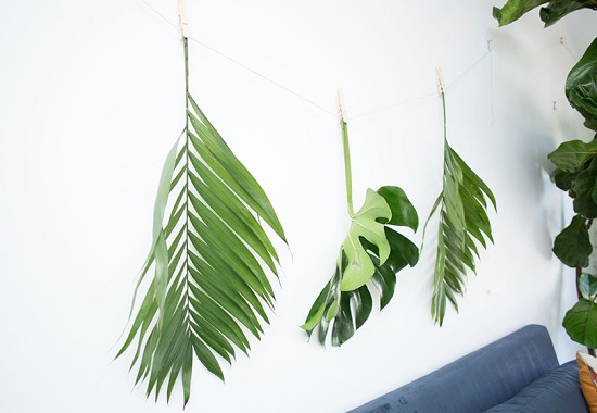 تعليق أوراق السعف تعليق أوراق السعف