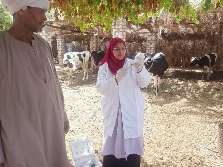 أعمال التحصين بقرى مركز دراو أعمال التحصين بقرى مركز دراو