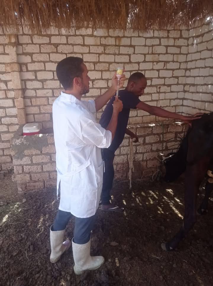 التحصين بقري أبو سمبل التحصين بقري أبو سمبل