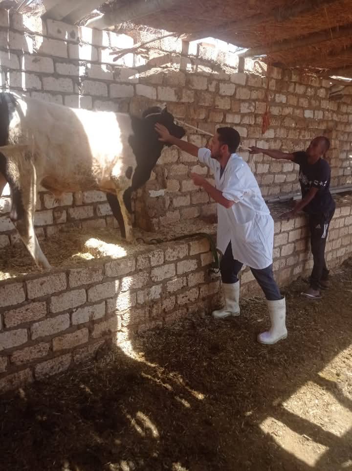 في نطاق ادارة ابو سمبل في نطاق ادارة ابو سمبل