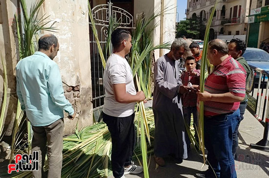 فرحة-زعف-النخيل-بمحيط-كنائس-الأقصر فرحة-زعف-النخيل-بمحيط-كنائس-الأقصر