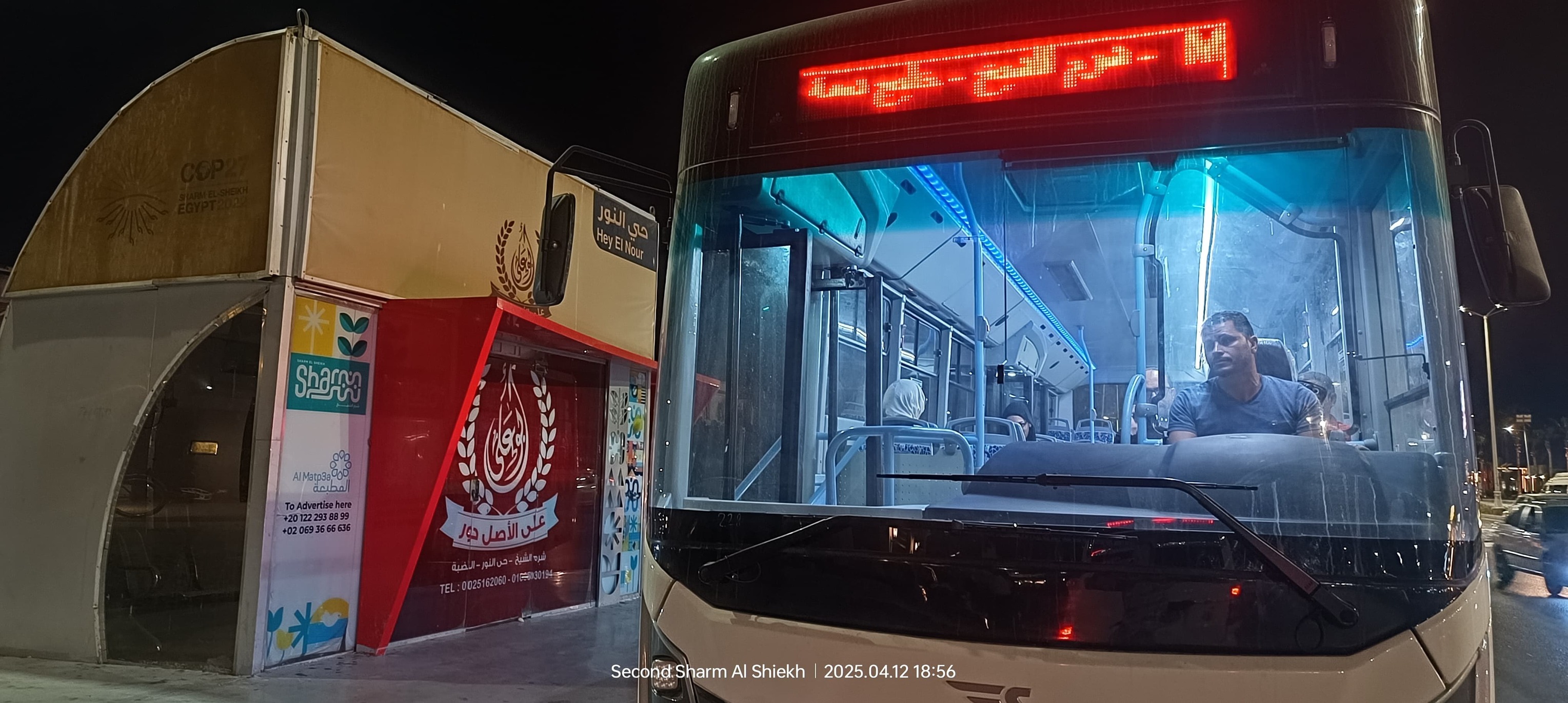 أتوبيسات كهربائية بالمجان فى شرم الشيخ (5)