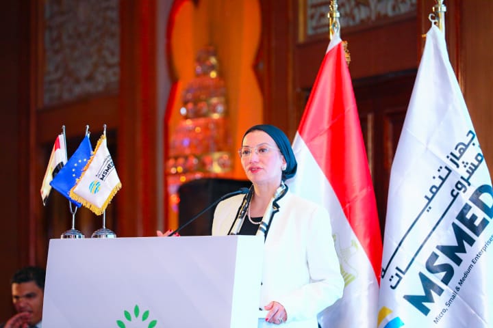 وزيرة البيئة وزيرة البيئة