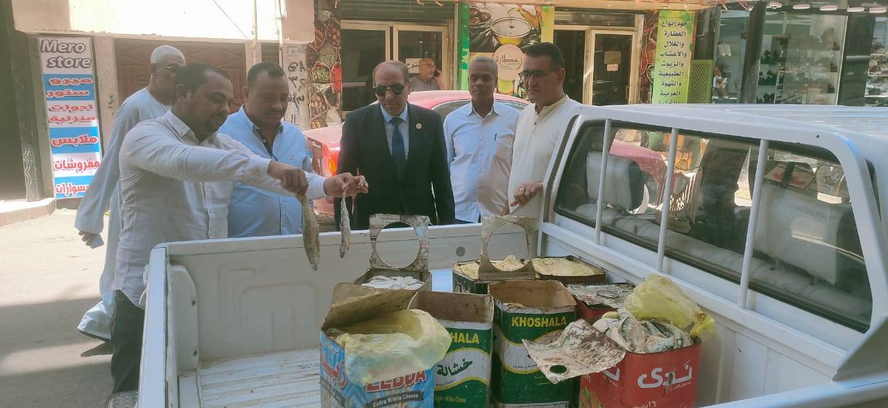 تموين الأقصر تضبط ربع طن أسماك مملحة وفسيخ غير صالحة للاستهلاك تموين الأقصر تضبط ربع طن أسماك مملحة وفسيخ غير صالحة للاستهلاك