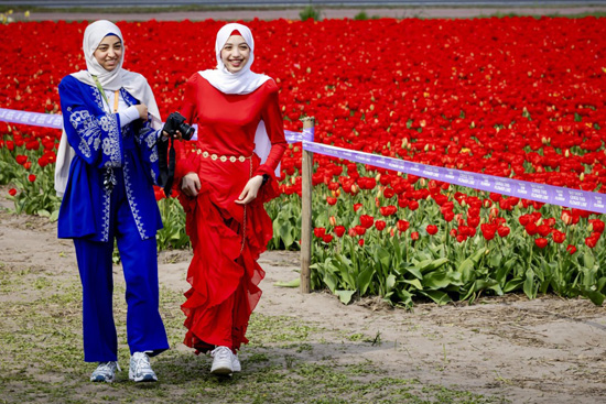 مهرجان الزهور (6)