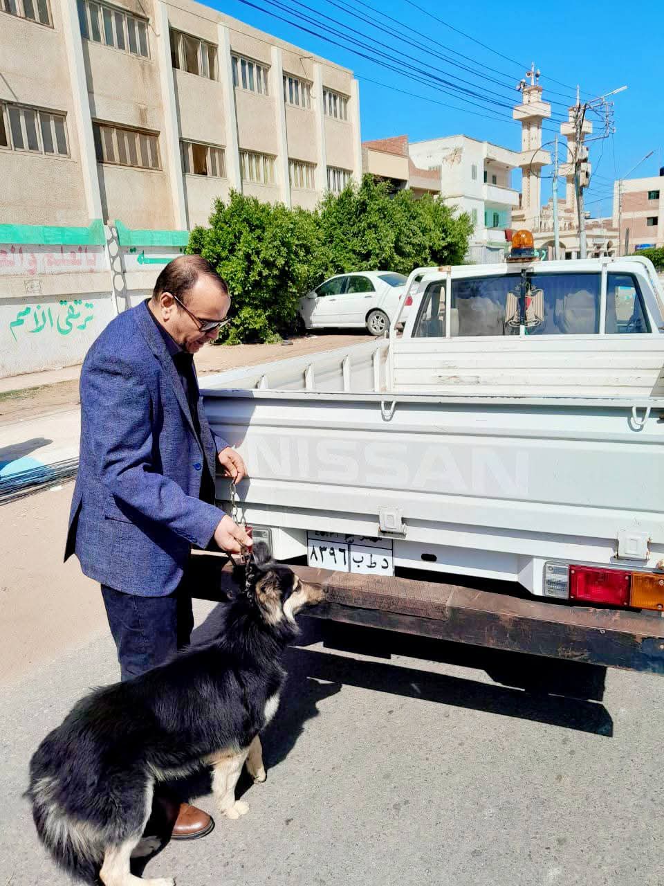 رئيس مدينة بني عبيد يتحفظ علي كلب رئيس مدينة بني عبيد يتحفظ علي كلب