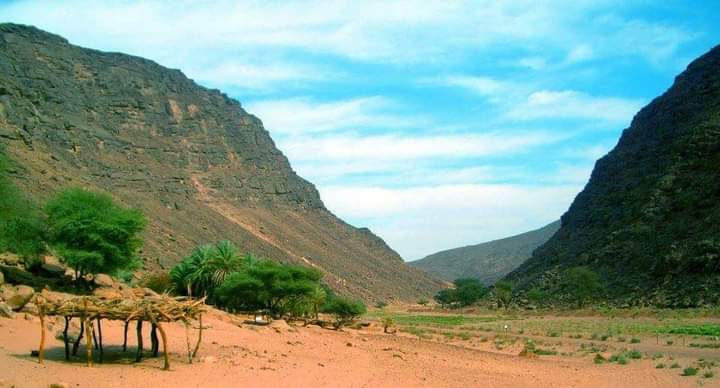 أودية أبرق شمال الشلاتين أودية أبرق شمال الشلاتين