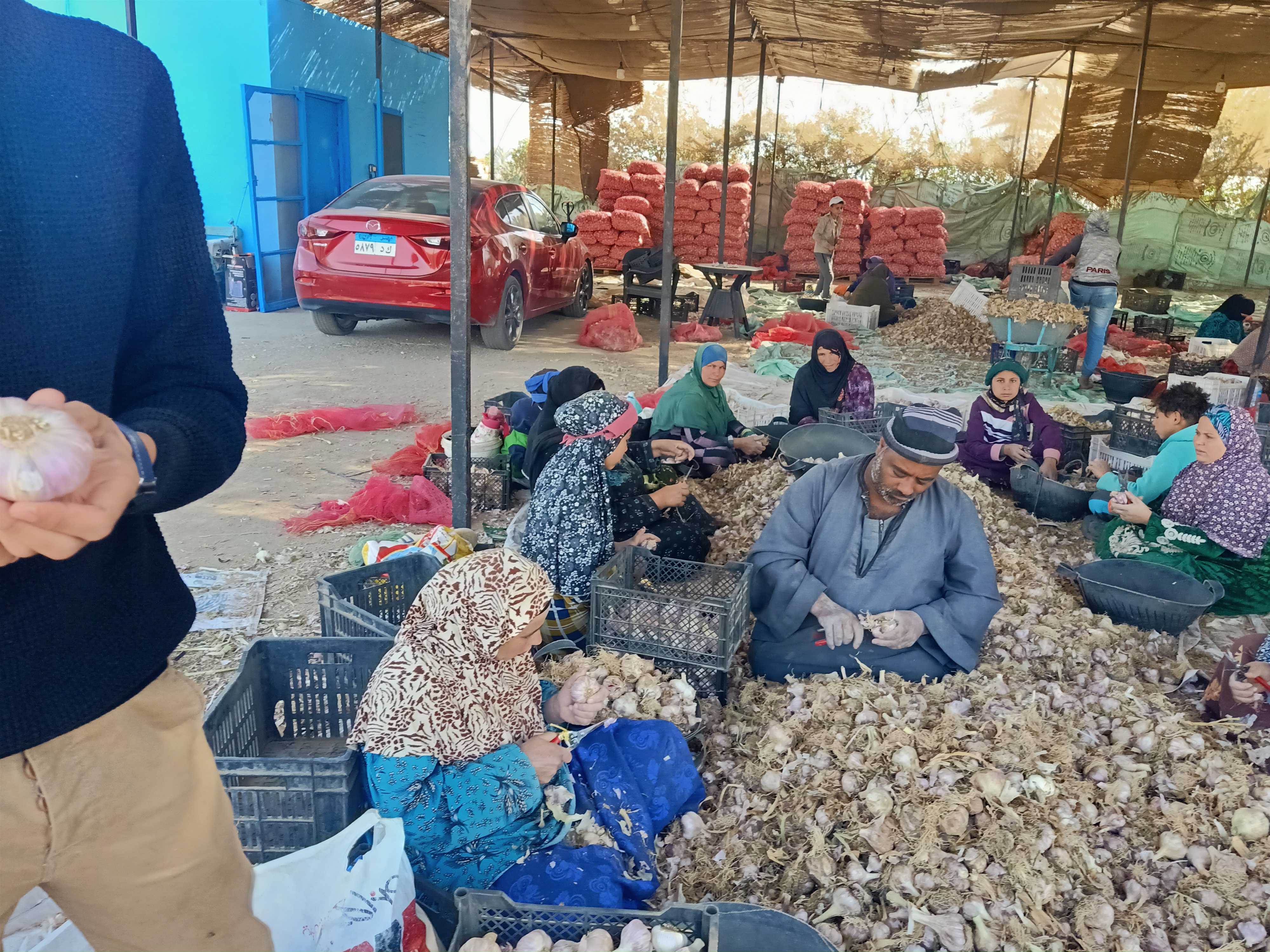 العمال يواصلون عملهم العمال يواصلون عملهم