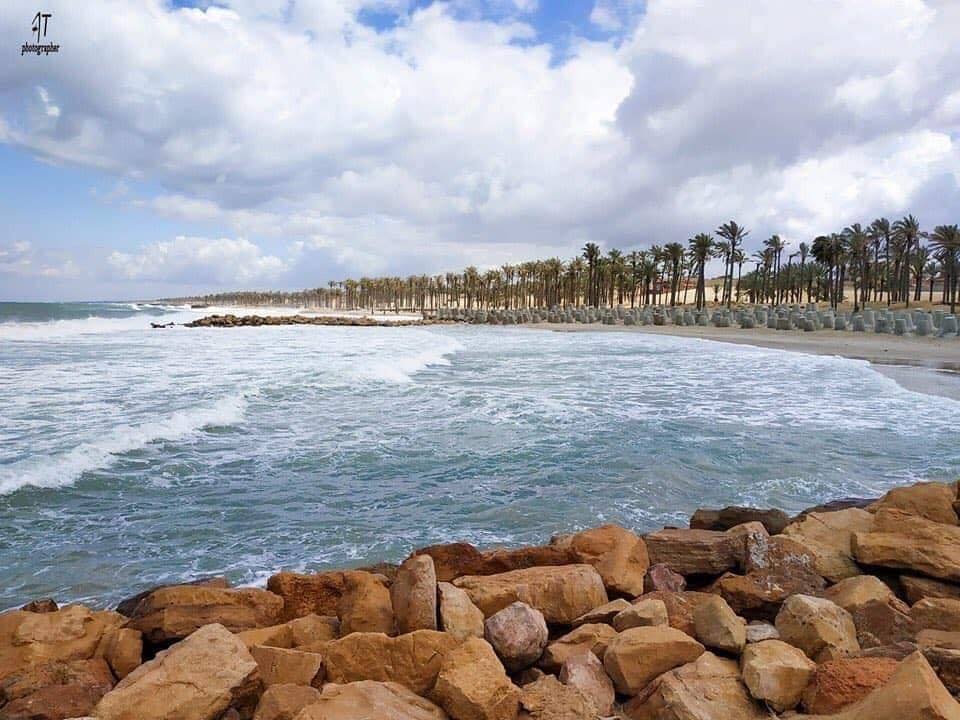 شاطئ العريش