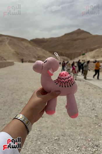 زاوية التصوير