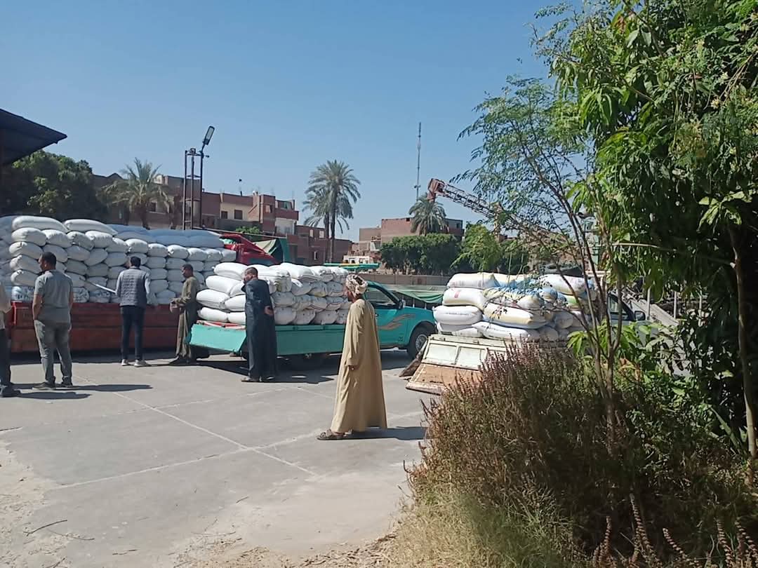 تسليم كميات من القمح للشون والصوامع بالأقصر
