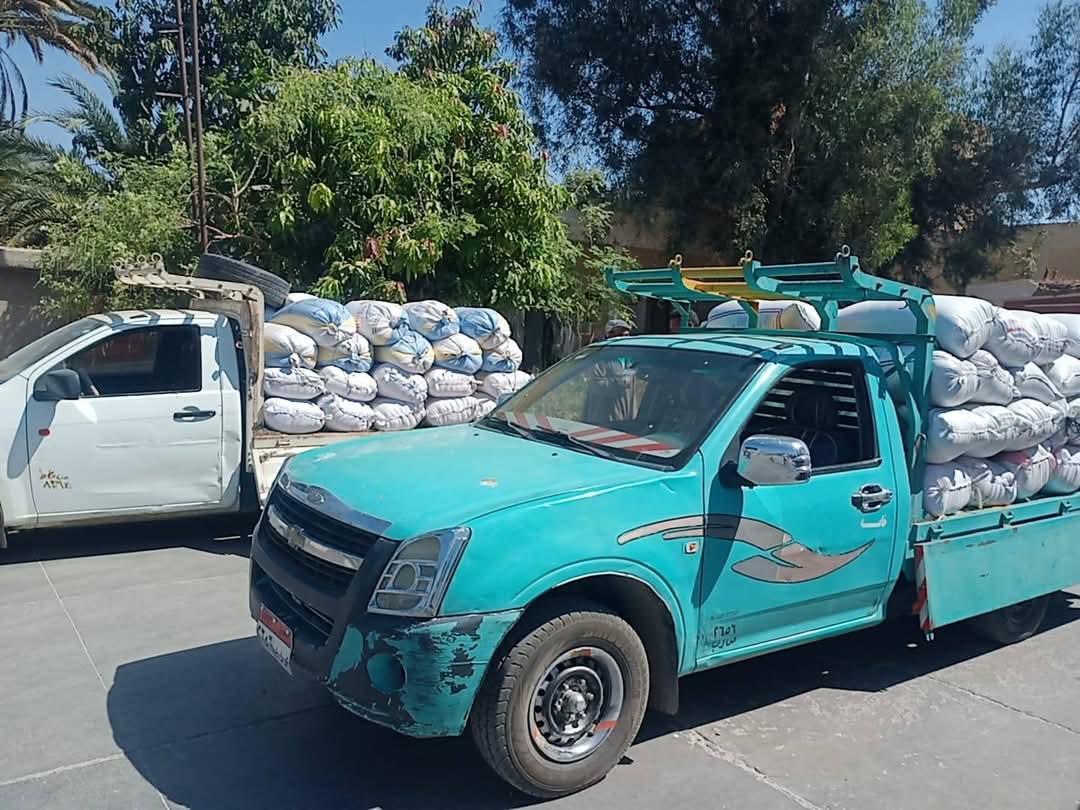 جانب من وصول كميات القمح لشون وصوامع أرمنت