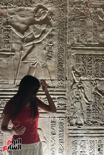 صورة بورتريه