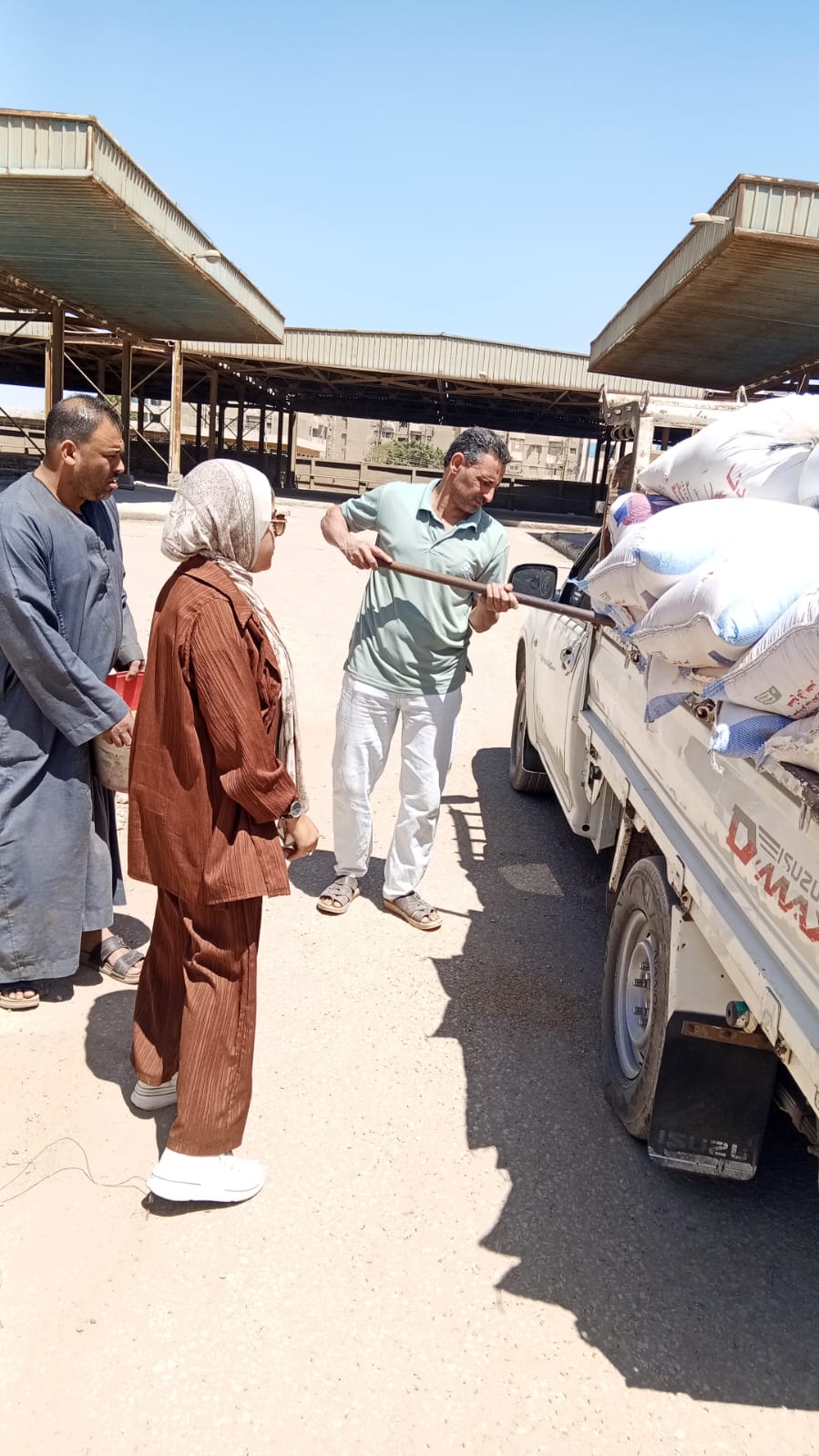 صوامع وشون الجيزة تبدأ استقبال القمح المحلى من المزارعين