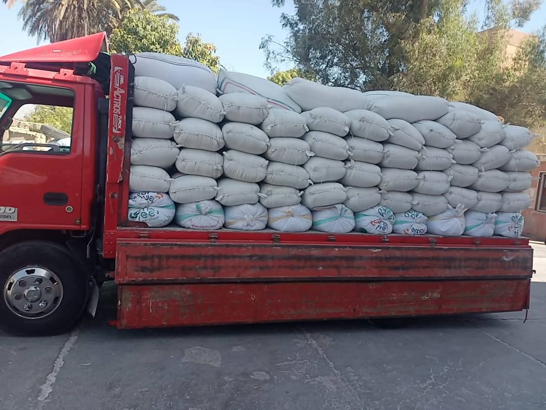 جانب من تسليم كميات من القمح للشون والصوامع