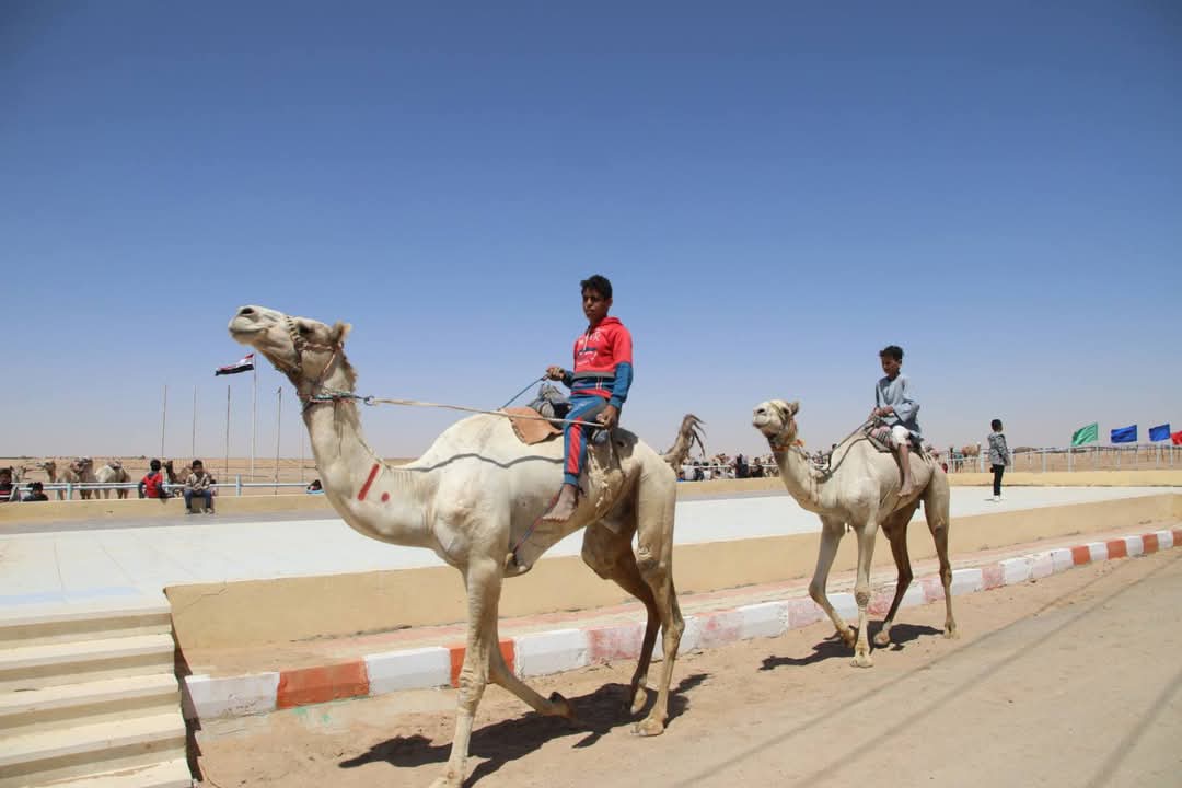ابطال الهجن يستكملون السباق ابطال الهجن يستكملون السباق