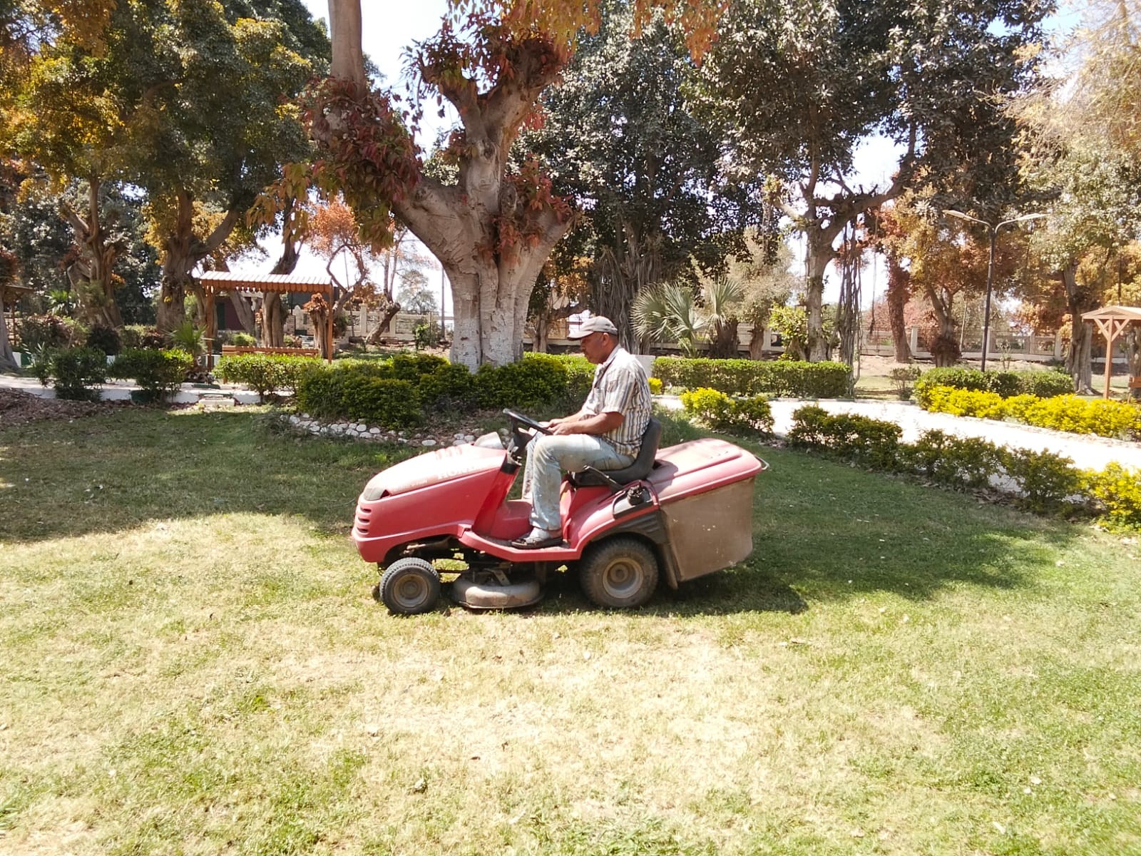 صيانة الحدائق صيانة الحدائق
