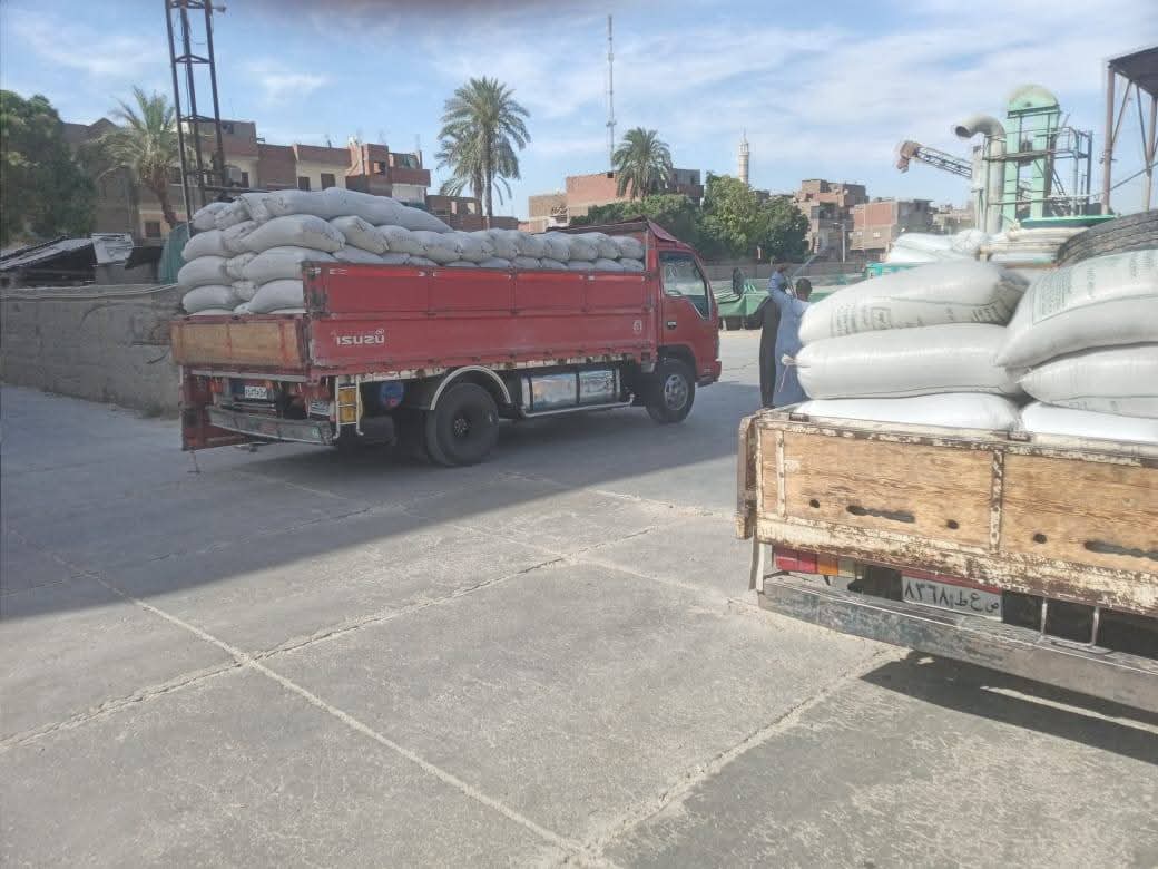 توريد أطنان من القمح للشون والصوامع بالموسم الجديد توريد أطنان من القمح للشون والصوامع بالموسم الجديد
