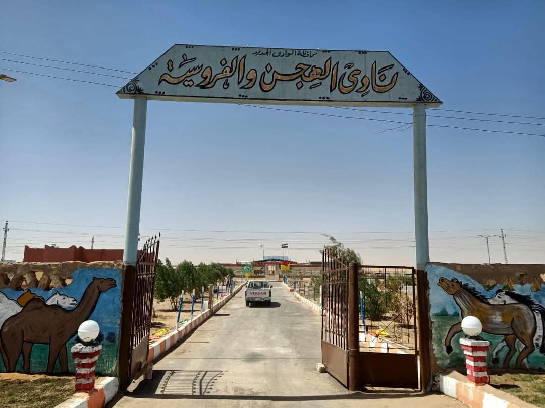 مدخل نادى بغداد للهجن مدخل نادى بغداد للهجن