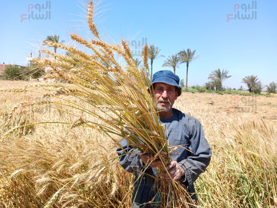 الايادى-العاملة