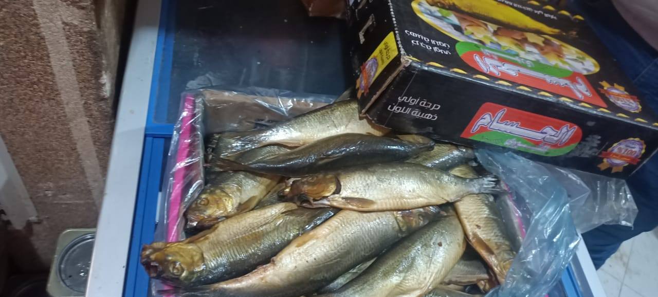 رنجة غير صالحة رنجة غير صالحة