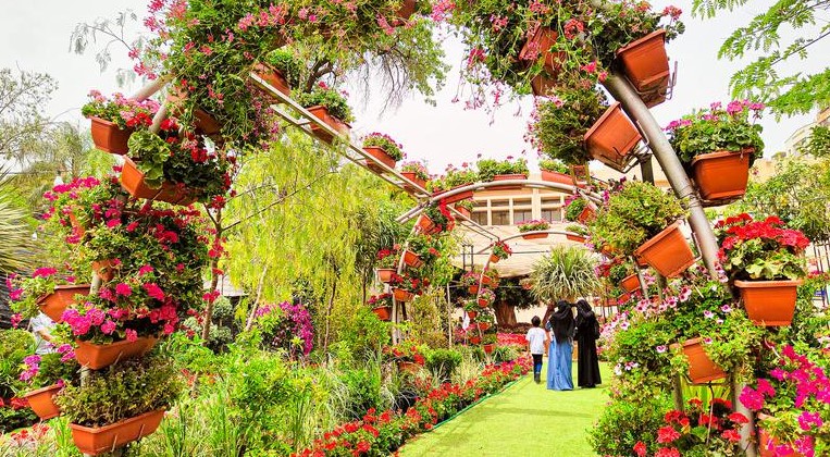 معرض الزهور- صورة أرشيفية. معرض الزهور- صورة أرشيفية.