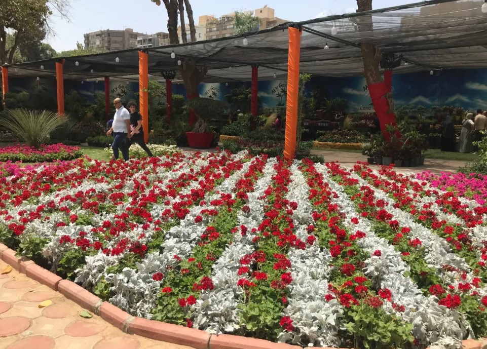 معرض الزهور- صورة أرشيفية معرض الزهور- صورة أرشيفية