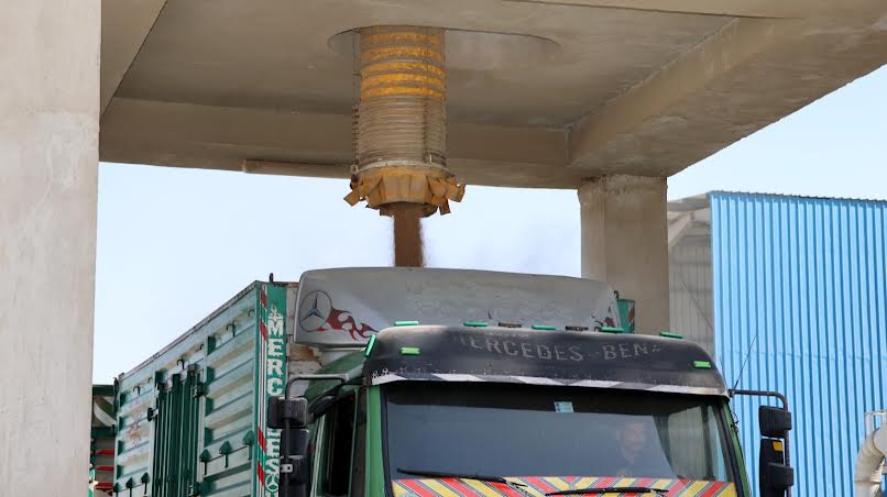 توريد القمح