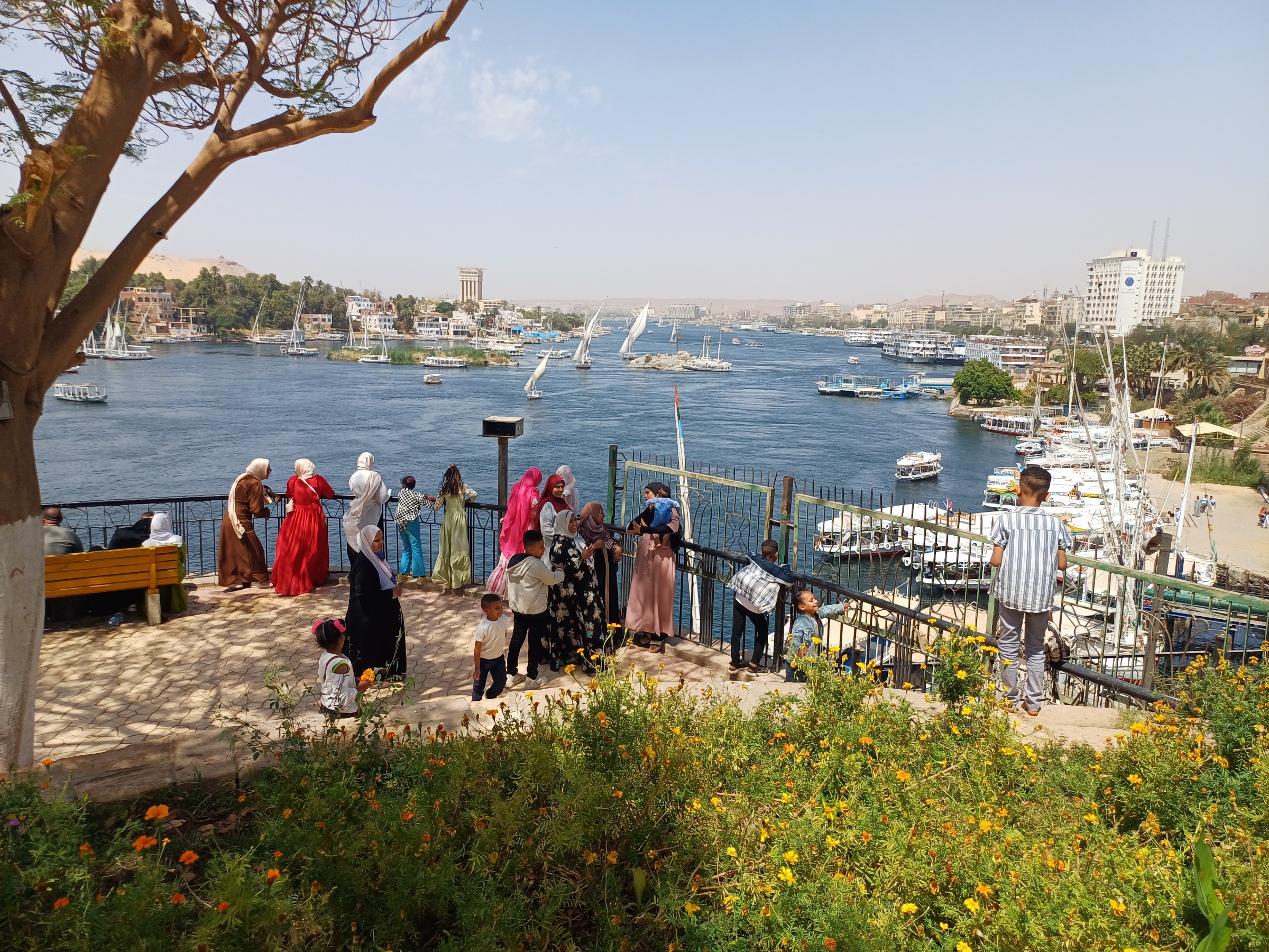إطلالة الحديقة على النيل