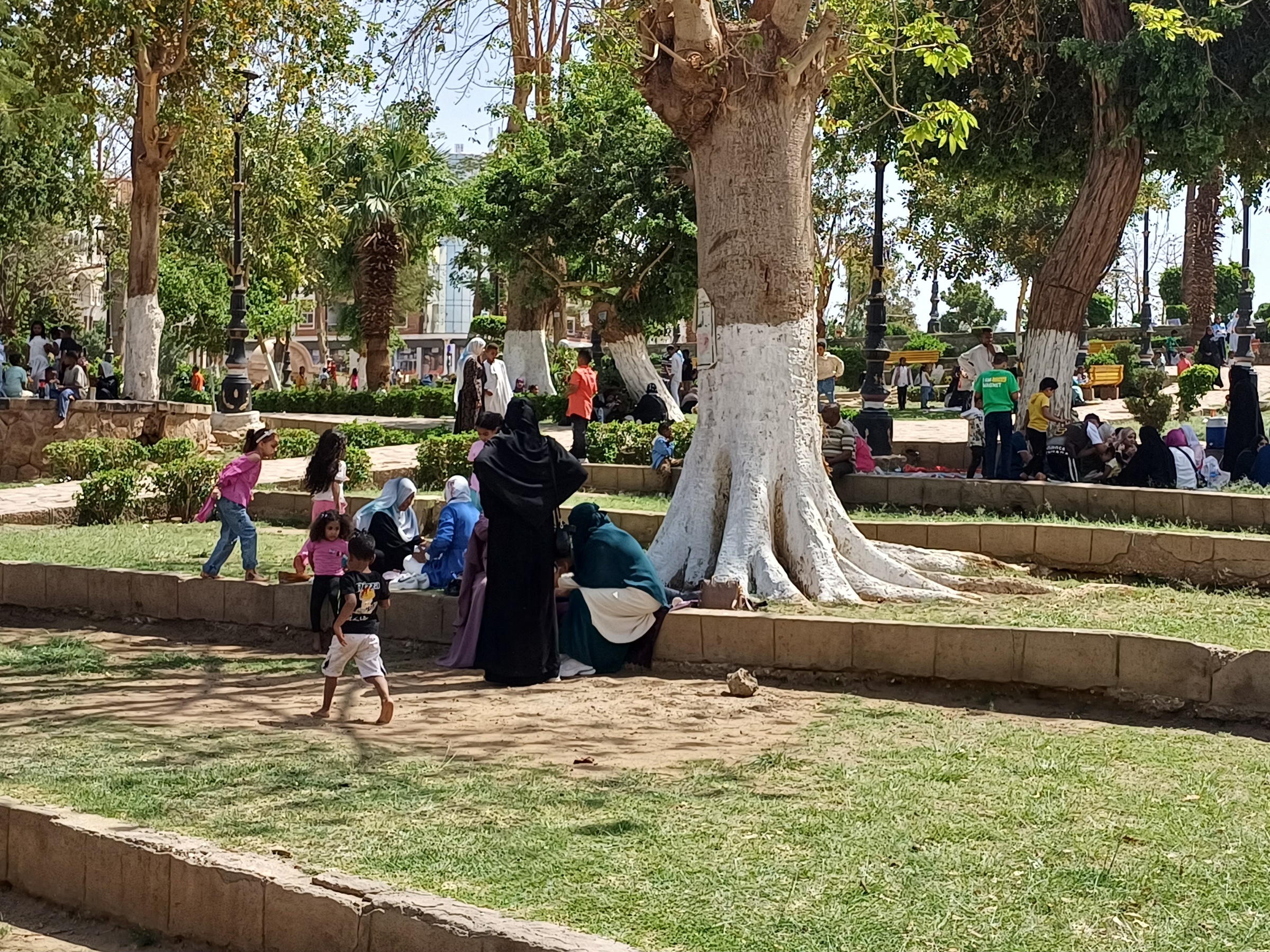 ‪أشجار الحديقة