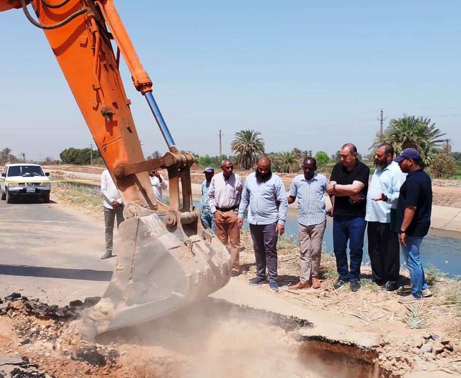 لجنة محافظة أسوان