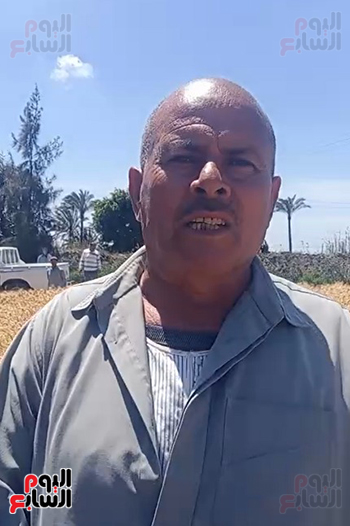 محمود-وفا-عبد-الفتاح