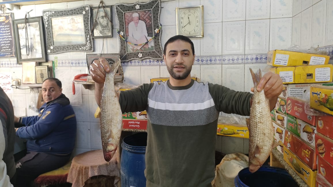 الأسماك المملحة في الغربية