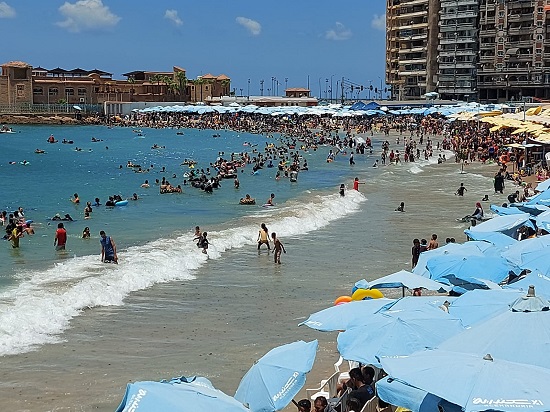 محافظة الاسكندرية محافظة الاسكندرية