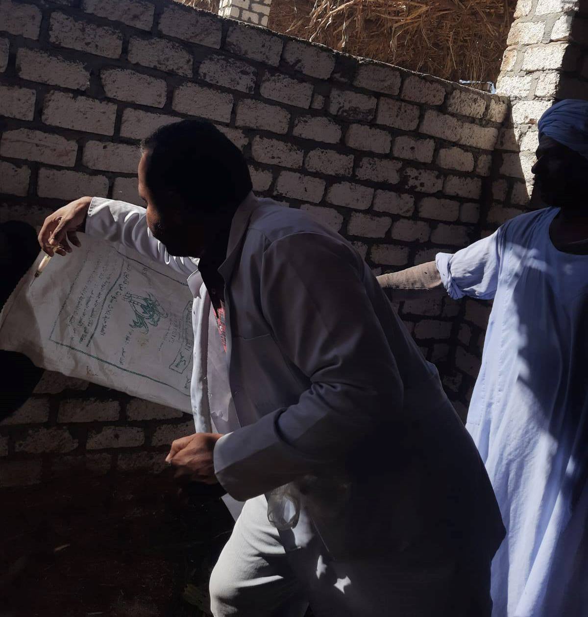 تحصين الماشية في الحملة القومية ضد الحمى القلاعية والوادى المتصدع