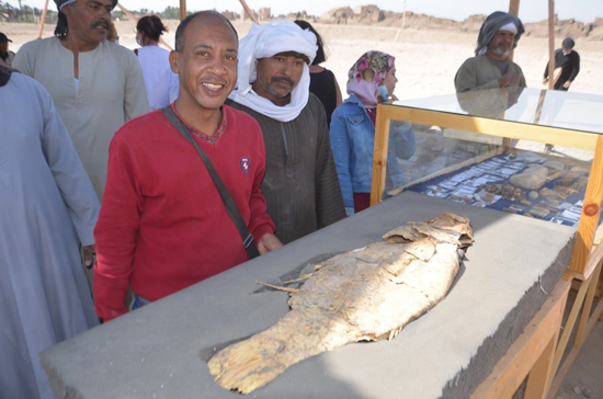 سمكة-قشر-بياض-مملحة-مكتشفة-بجبانة-أسماك-إسنا سمكة-قشر-بياض-مملحة-مكتشفة-بجبانة-أسماك-إسنا