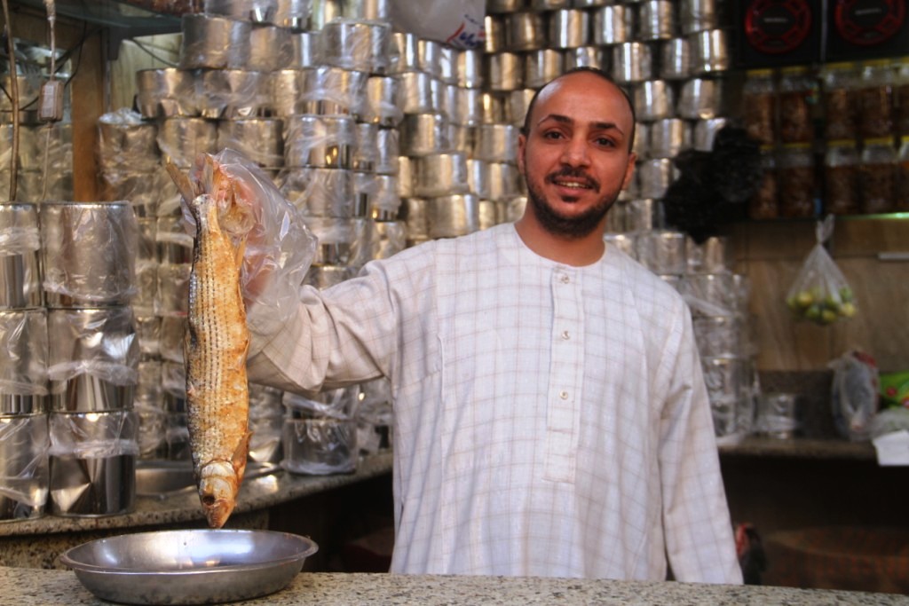 أسماك كلب البحر