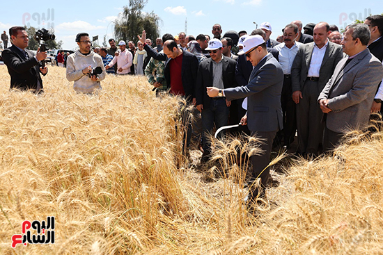 تفقد-أعمال-الحصاد_1