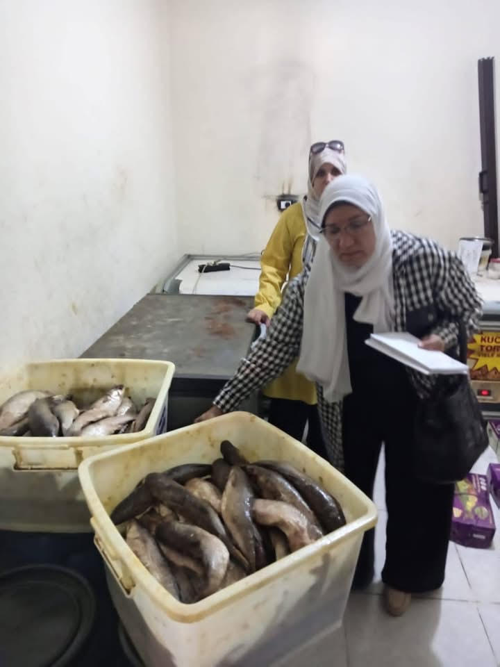 سمك غير صالح سمك غير صالح