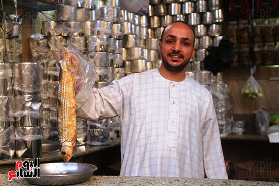 أسماك-كلب-البحر أسماك-كلب-البحر