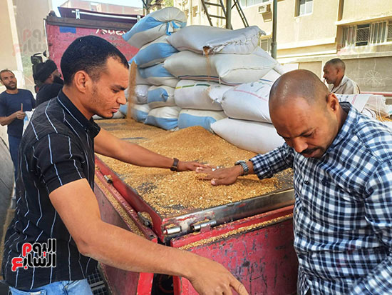 صومعة-أسوان-تستقبل-كميات-القمح-الموردة-من-المزارع صومعة-أسوان-تستقبل-كميات-القمح-الموردة-من-المزارع